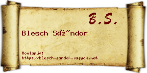 Blesch Sándor névjegykártya